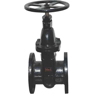 Marck Gate Valve Investment